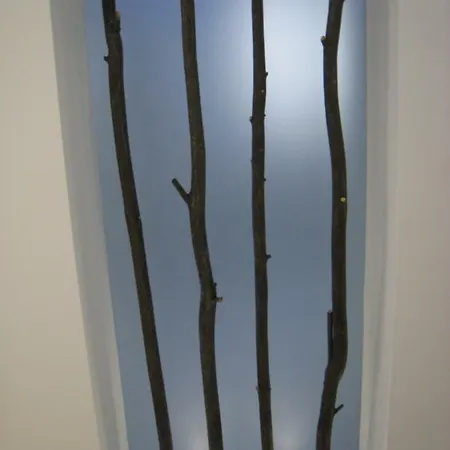 Unike كاسكايس